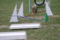 foto041.jpg
