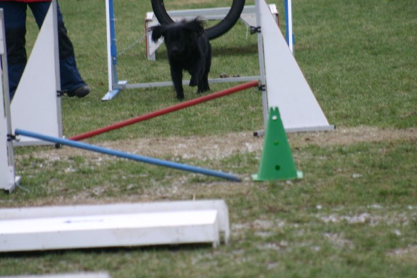 foto049.jpg
