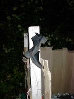 foto523.jpg