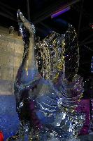 img_1702.jpg