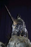 img_1704.jpg
