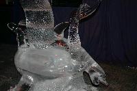 img_1709.jpg