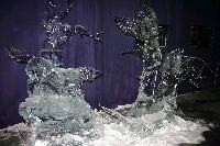 img_1716.jpg