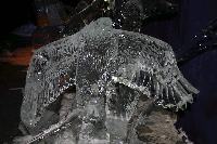 img_1719.jpg