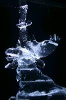 img_1726.jpg