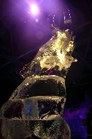 img_1739.jpg