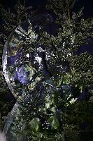 img_1753.jpg