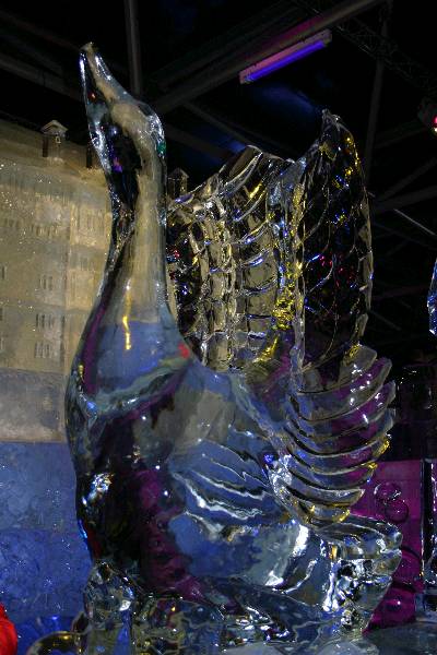 img_1702.jpg
