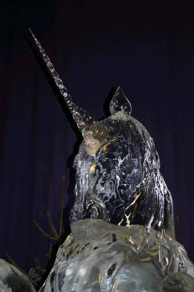 img_1704.jpg