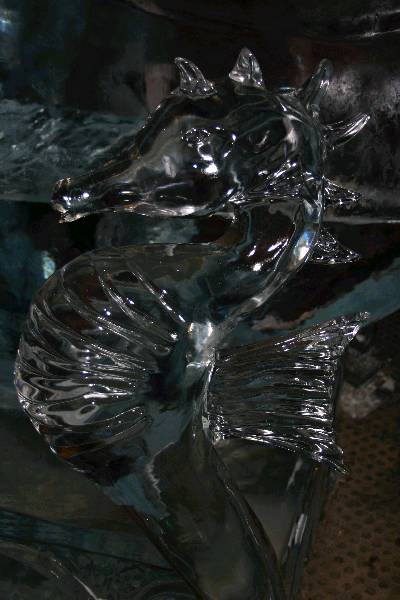 img_1748.jpg