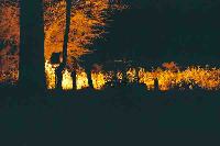 foto123.jpg