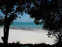 foto562.jpg