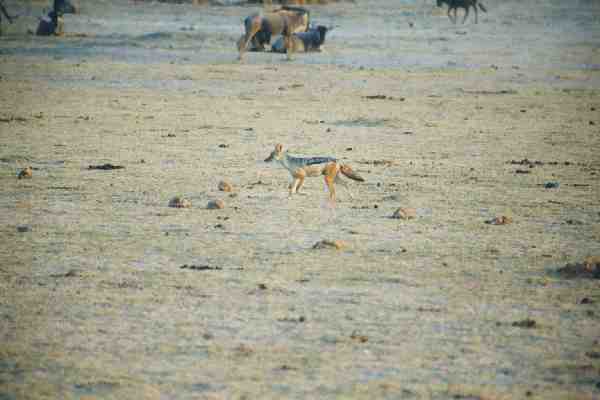foto125.jpg