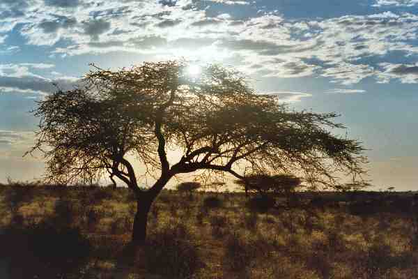 Kenia