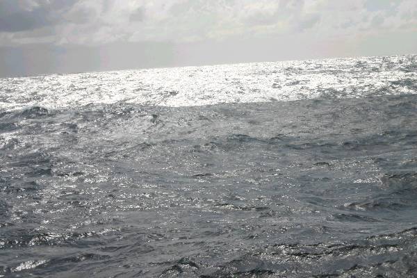img_0954.jpg