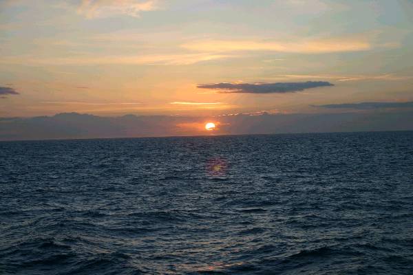 img_1004.jpg