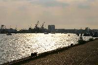 img_2043.jpg