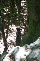 img_1288.jpg