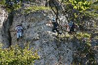 img_1291.jpg