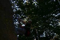 img_1311.jpg