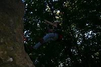 img_1312.jpg