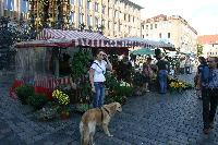 img_1334.jpg