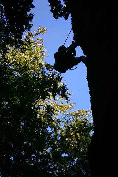 img_1308.jpg