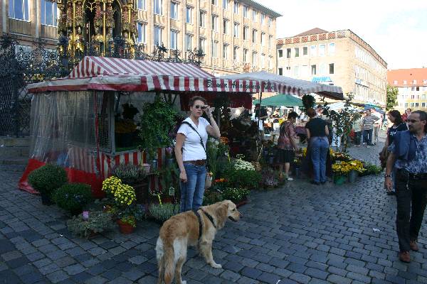 img_1334.jpg