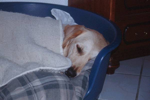 foto016.jpg