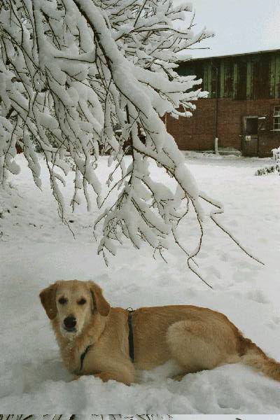 foto031.jpg