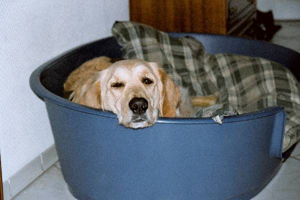 foto039.jpg