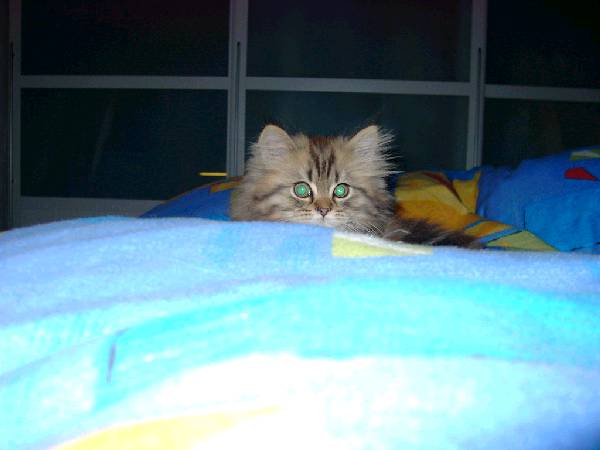 foto079.jpg
