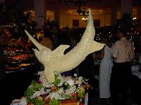 foto041.jpg