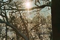 foto001.jpg