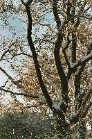 foto007.jpg