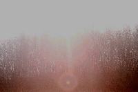 foto008.jpg