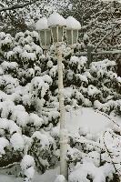 foto009.jpg