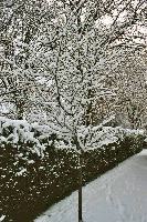 foto011.jpg