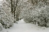 foto012.jpg
