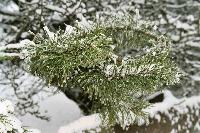 foto013.jpg