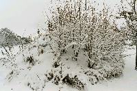 foto014.jpg