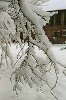 foto017.jpg