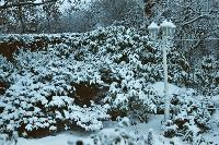 foto020.jpg