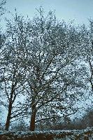 foto021.jpg
