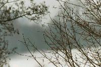 foto023.jpg