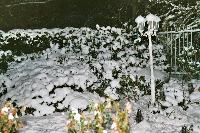 foto027.jpg