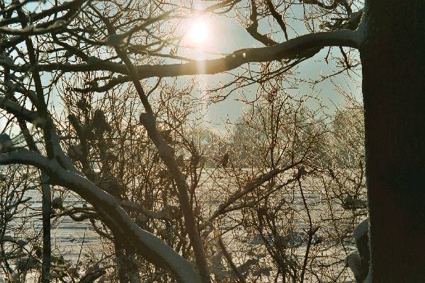 Winter