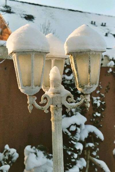 foto003.jpg