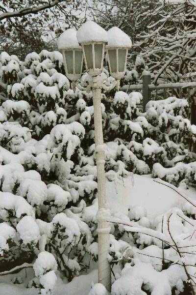 foto009.jpg