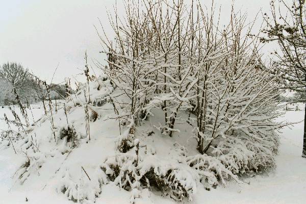 foto014.jpg